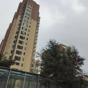 CW春伟