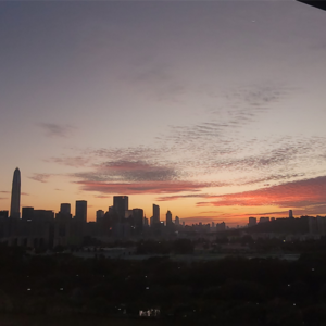 G姜大仙