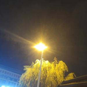 ZH海宁姐