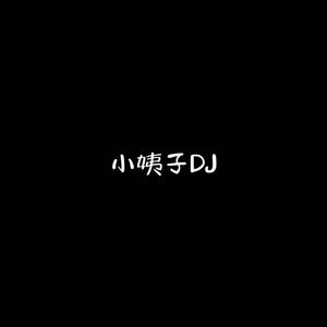 小姨子DJ