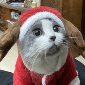 李弈鸣