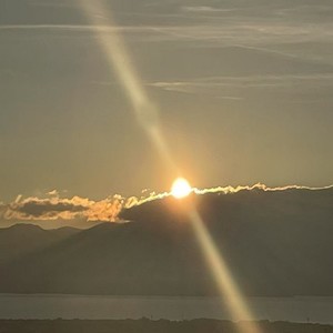陆梓烨
