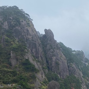 云菜
