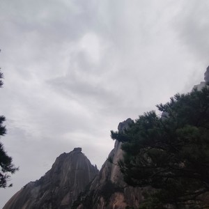 颖颖宝