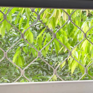 刁洁