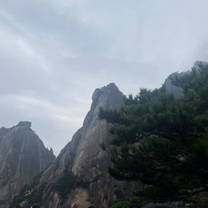 冲从