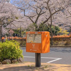 HB花斑